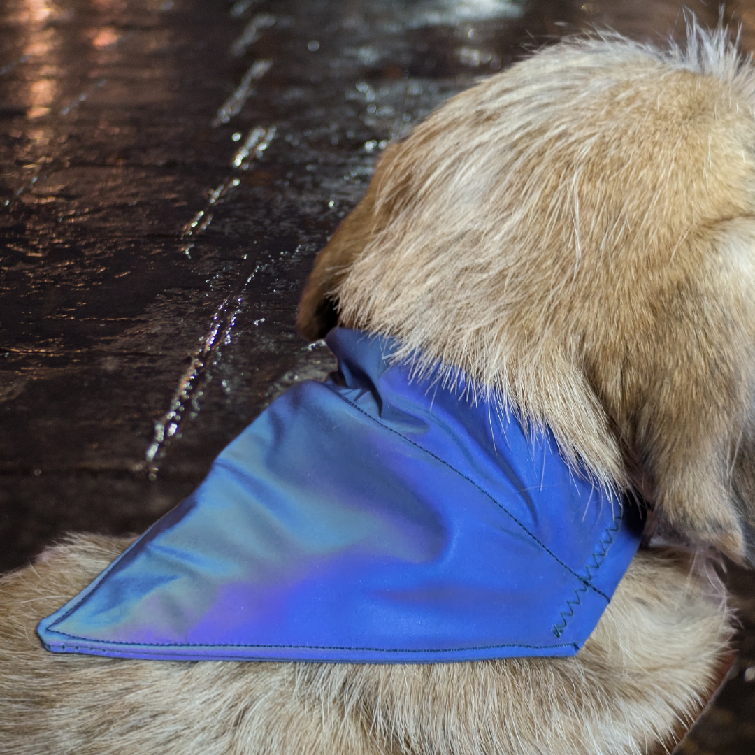 Waterproof Reflective Dog Bandana